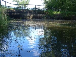 Hámsky kanál pri mostíku